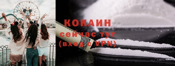 индика Армянск