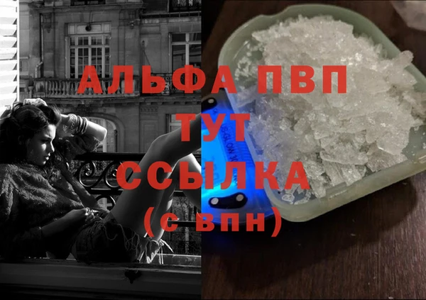 индика Армянск