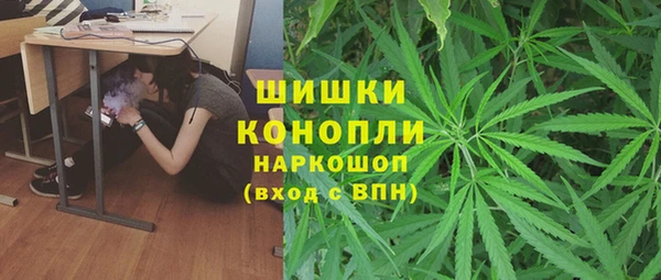 индика Армянск