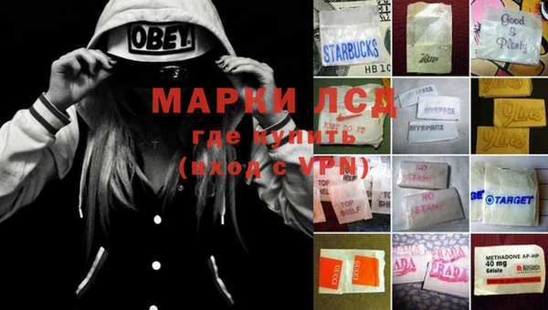 индика Армянск