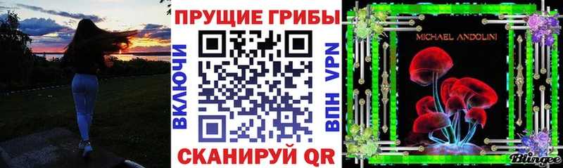 Галлюциногенные грибы Magic Shrooms  как найти наркотики  Волгодонск 